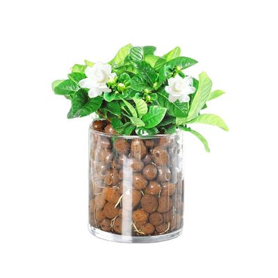 Bolas marrones ligeras Jardín cerámsito expandido Horticultura LECA Pellets de arcilla 50L Bolsa