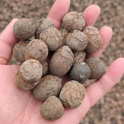 Hidroponía LECA fabrica bolas marrones ligeras para jardinería