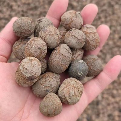 LECA para jardinería y horticultura Densidad a granel 250-450 kg/m3 Hidroponía LECA bolas